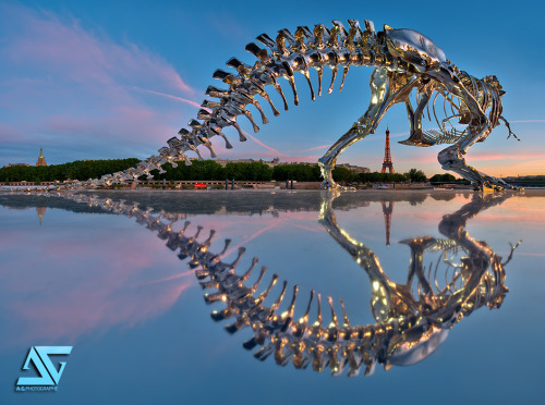 T-REX Sculpture in Paris by Anthony Gelot.(par A.G. Photographe)