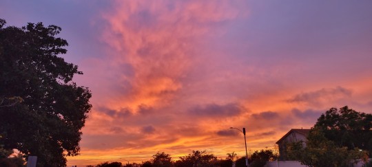 naamahdarling:  an-autistic-with-personhood:xxtc-96xx:vimbry:judygemstone:hydrojinn:motherfucker-somewhat-limited:bondsmagii:sigynpenniman:huffylemon:“Sunset over the Grocery Box,” by me. The view from my father’s front yard in January 2014.“Sunset