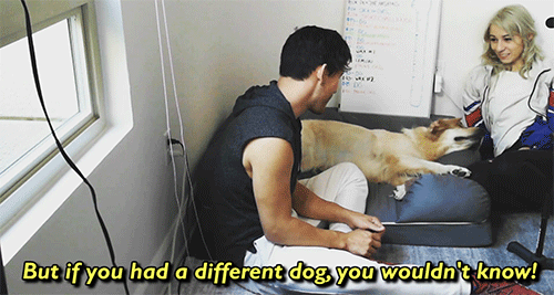 dogiplier:  shut up im weeping  IM SO LUCKY