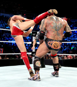 fishbulbsuplex:  Daniel Bryan vs. Batista