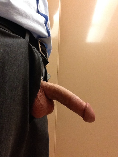 servicebear:  What is it about a stiff cock sticking out from an open zipper that