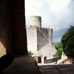 Los lunes al final no son tan malos (en El pantà del Foix)