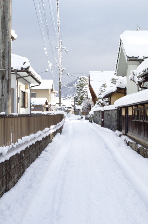 miizukizu: 雪に埋もれた生活路 (the town road is covered with snow)どか雪が降ったおかげで、車がほとんど通らない道はふかふかな雪で覆われてます。 By :