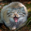 mylunagalaxy