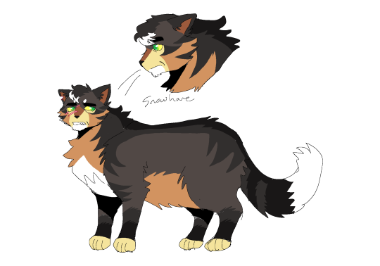 warriors cat stuff — here's a badly looping ashfur gif from something