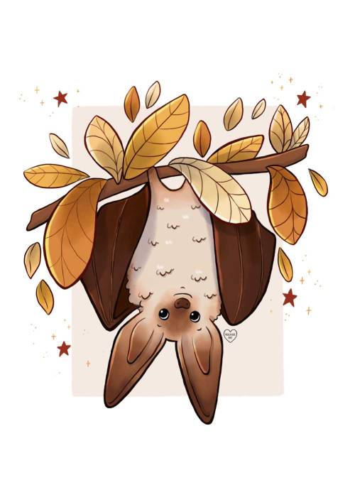 melissajanart:A cute little brown long-eared bat. Fun fact, their ears are nearly the same size as t