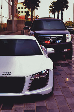 love-always69:  audi | cadillac | via Tumblr