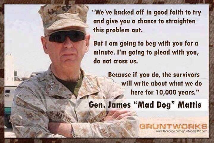southernsideofme:Mad Dog Mattis - Secretary of Defense Please  So glad he&rsquo;s