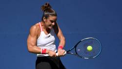 your-loving-rey:MARIA SAKKARIThere’s something about female tennis players and their pumped up muscles. This girl is Jacked!!