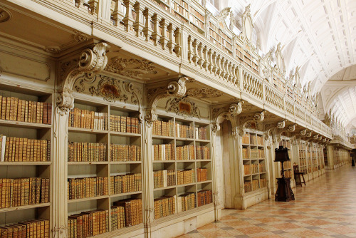 aheadfullofbooks:  Biblioteca do Palácio de Mafra // Library of Mafra’s National Palace Finally got to see this beauty in person. Kind of bitter I couldn’t just reach out and open some of the books. The binding is so beautiful.   