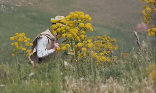 crastinating:films without faces: Maurice (1987, dir. James Ivory, cinematography by Pierre Lhomme)