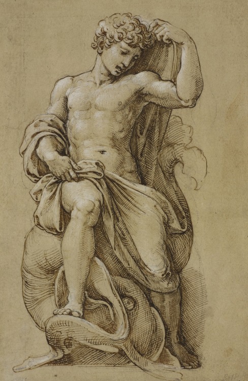 Hadrian6:   Jonah. Circa 1520-23. Attributed To Giovanni Francesco Penni. Italian