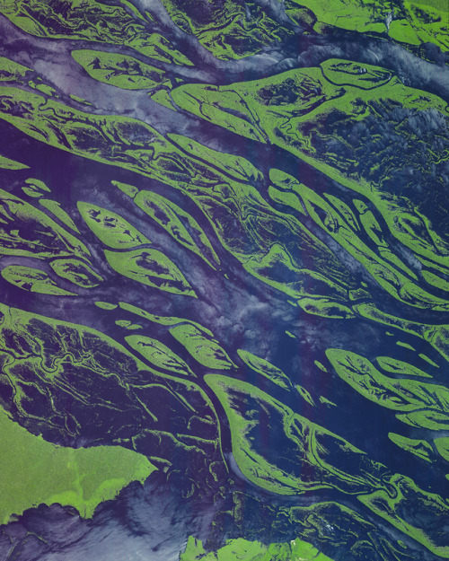 dailyoverview: In this Overview, the Rio Negro winds through the State of Amazonas in northwestern B