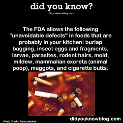 did-you-kno:  The FDA allows the following “unavoidable defects” in foods that are probably in your kitchen: burlap bagging, insect eggs and fragments, larvae, parasites, rodent hairs, mold, mildew, mammalian excreta (animal poop), maggots, and cigarette