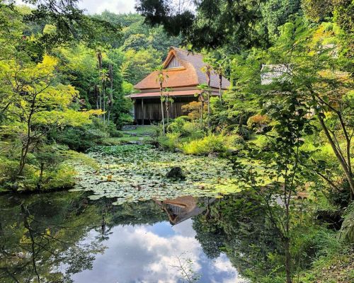 ＼おにわさん更新情報／ ‪[ 茨城県石岡市 ] 大覚寺庭園 Daikaku-ji Temple Garden, Ishioka, Ibaraki の写真・記事を更新しました。 ーー浄土真宗宗祖 #親鸞