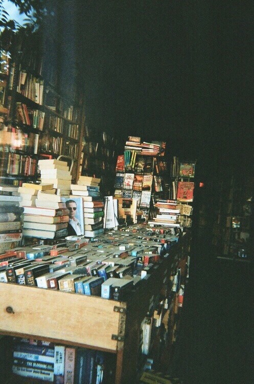 Dream