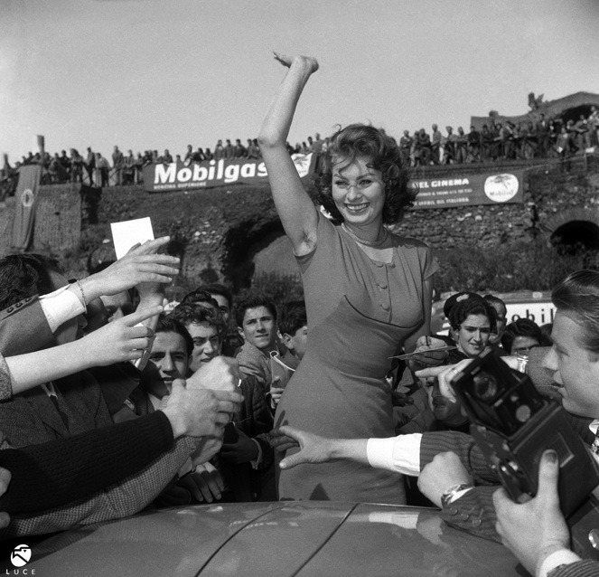 Sophia Loren