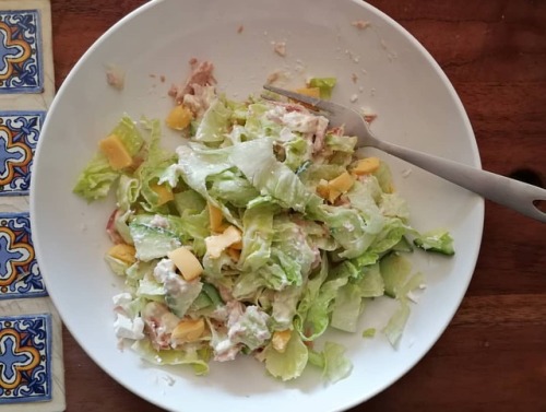 alittlebitofketo: Tuna salad. Salad twice in one week #sugarfree #lowcarb #foodpics #pcos #healthyfo