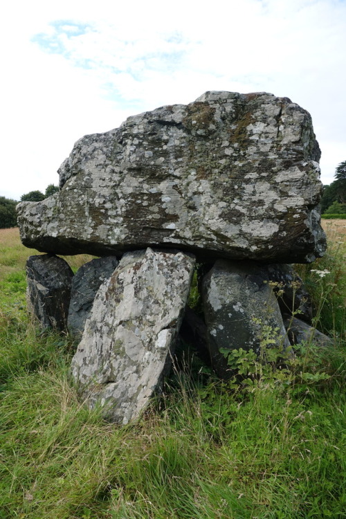 Plas Newydd Burial Chamber, Anglesey, 30.7.17. Situated rather incongruously next to the cricket pit