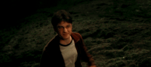 GIF REQUEST MEME: HP + Favourite Hero- Requested By@fullof-whitelies