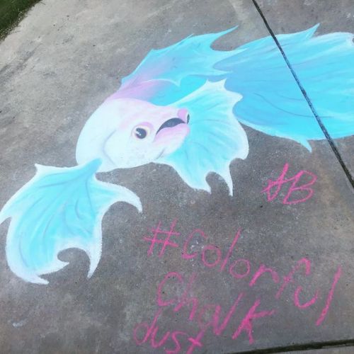 Snazzy art at the park. . . . #fish #art #colorfulchalkdust #beta #snazzy #chalkart #Dacula (at Ha