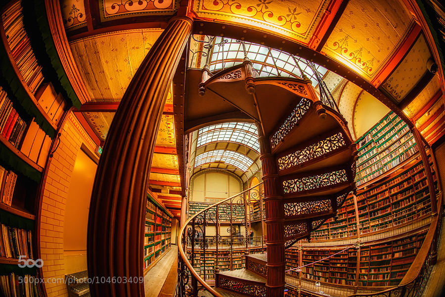 socialfoto:
“The Library by skelby #SocialFoto
”