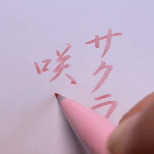 // (Sakura Saku / Bloom, Cherry Blossoms) // (shun.kei)