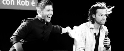freckles-and-his-moose:  Jensen & Jared: Epic Friendship Part (28/?)       ↳ JIBCON 2014 x 