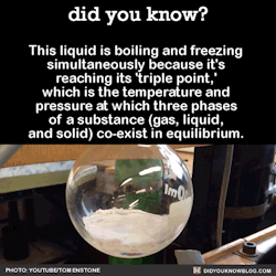 mitochondria-is-the-powerhouse:  crewdlydrawn:  deebott:  did-you-kno:  This liquid is boiling and freezing simultaneously because it’s reaching its ‘triple point,’ which is the temperature and pressure at which three phases of a substance (gas,