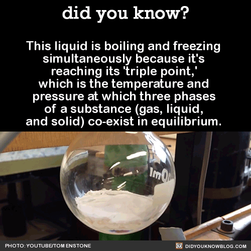 all-signs:  did-you-kno:  This liquid is boiling and freezing simultaneously because it’s reaching its ‘triple point,’ which is the temperature and pressure at which three phases of a substance (gas, liquid, and solid) co-exist in equilibrium. 