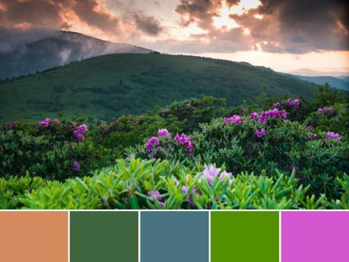 goparks:National Parks as Color Palettes#FindYourPark with a fresh coat of paint. (via HGTV) @kitkat