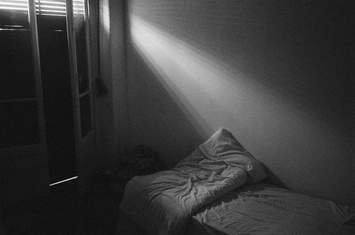 Pul­vis et um­bra su­mus.