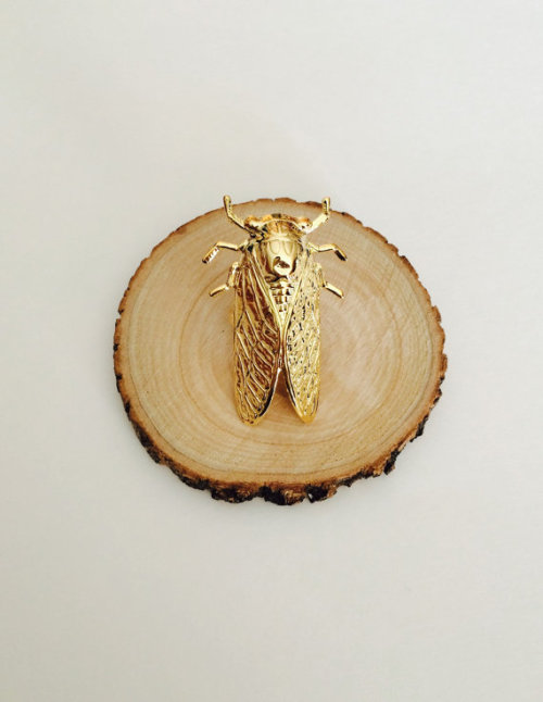 wickedclothes: Gigantic Cicada Ring A cicada that won’t be quite as loud and annoying, but wil