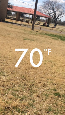 Passingthrough42:  Lunchtime Tea At The Park ☀️☠️☠️☠️ While Sitting