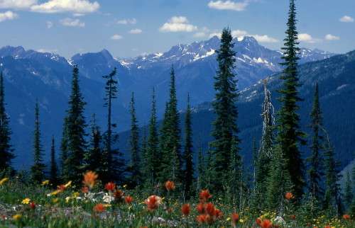 expressions-of-nature: Mount Revelstoke National