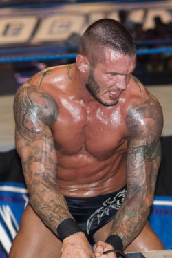 hopelessly devoted to randy orton