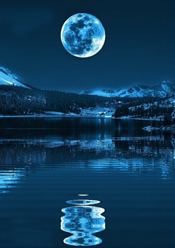 gyclli :“ Bonne nuit Tumblr .. ❤ • * ¨ * •. ¸ ¸ツ”