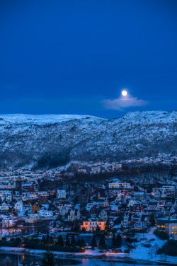 photosofnorwaycom:  Bergen (by Paulius Bruzdeilynas)