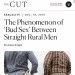 lumberjackloverboy:escuerzoresucitado:[image id: a screenshot from an online magazine called The Cut, written by Jesse Singal. The headline reads in large letters ‘The Phenomenon of 'Bud Sex’ Between Straight Rural Men’. Underneath is