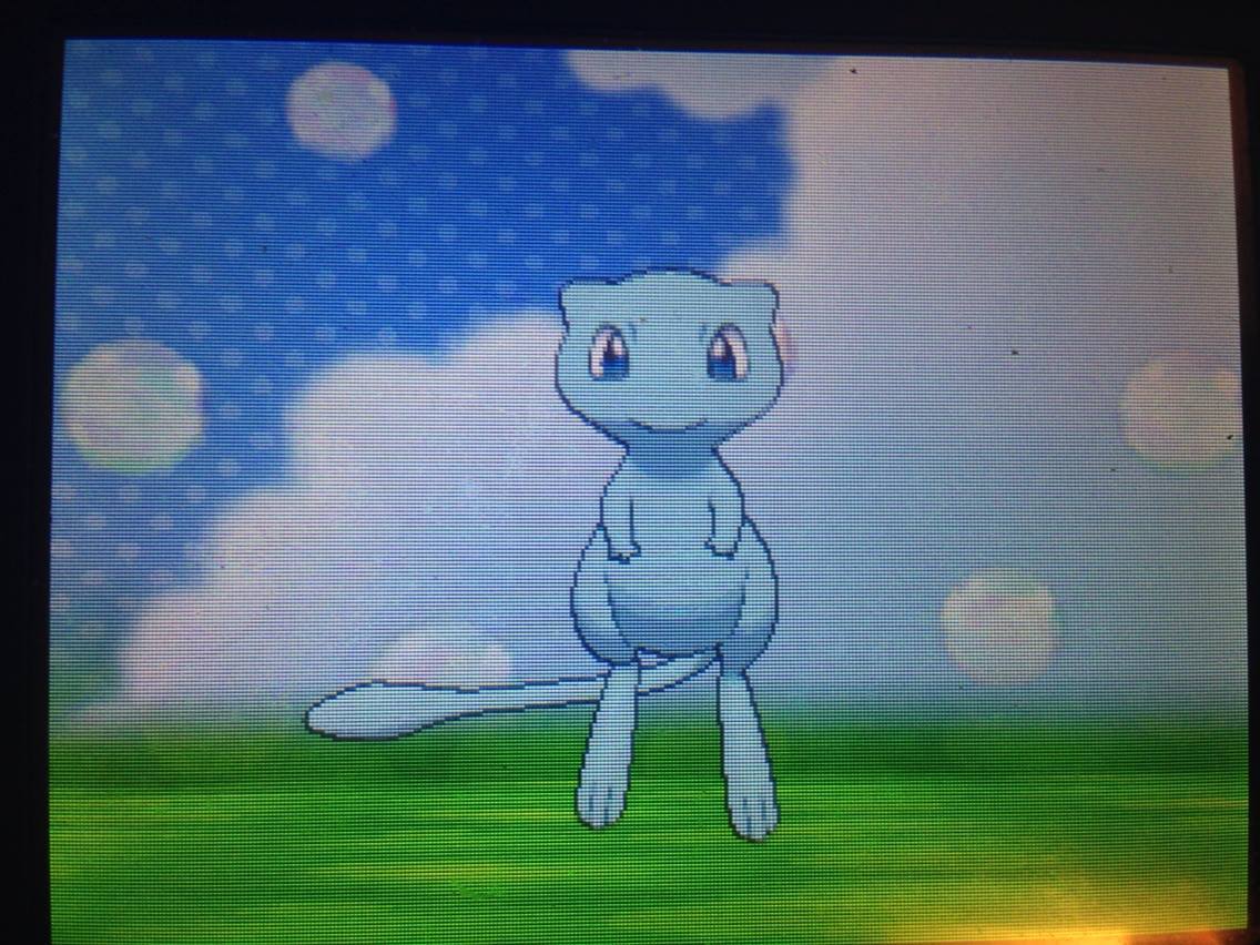 workinglynx:  workinglynx:  workinglynx:  workinglynx:  workinglynx:  POKEMON GIVEAWAY!