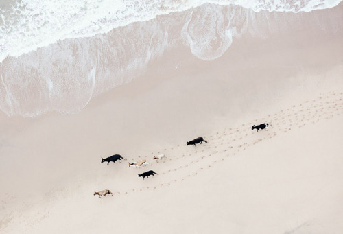 landscape-photo-graphy:  Abstract & Artist Aerial Landscape Photographs of Southern Africa by Zack Seckler  Weiterlesen