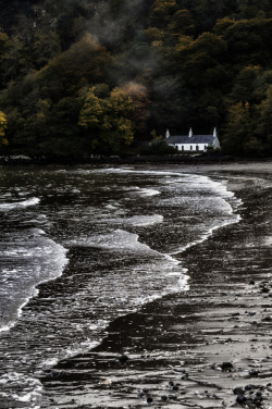 4nimalparty:  Autumn Beach (by Alan E Taylor) 