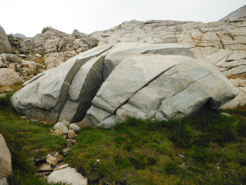 Giant frost riven boulder beached like a whale on a meadow. East Pinnacles Creek, John Muir Wilderne