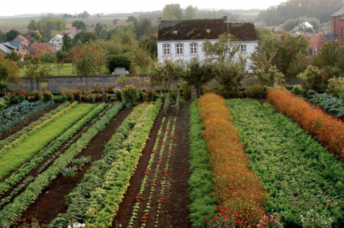 papalagiblog: Kasteel van Heks’ edible garden was created 240 years ago, on a gentle slope in 