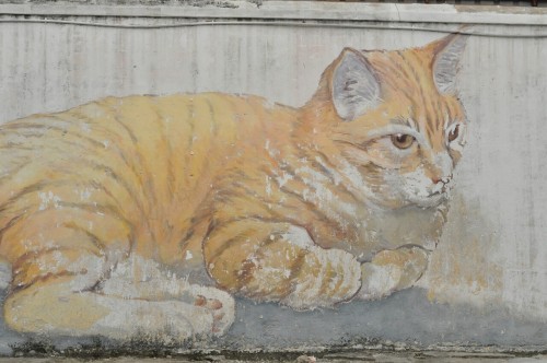 Georgtown & Streetart - Penang, Malaysia