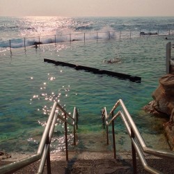 shinebythree:  Dip. (at Bronte Beach Pool)