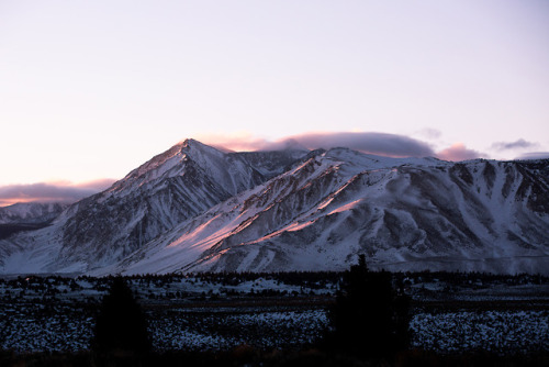 Morning AlpenglowFly Fishing / New Year’s Trip 2019 / Mammoth———————————–Instagram: @brysonmaloneWeb