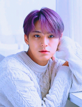 verngyu:mingyu x dispatch
