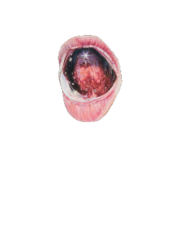 trans-par-en-cy:  made transparent by trans-par-en-cy 