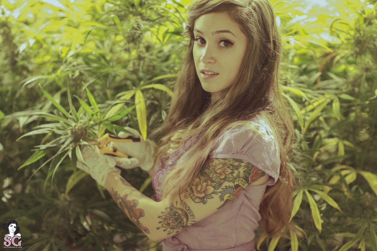 past-her-eyes:   Damsel Suicide + Dimples Suicide + Brewin Suicide www.suicidegirls.com/girls/damsel